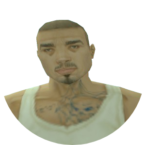 Skin 292